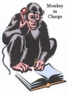 monkeyeconomics