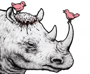 Perry Bible Fellowship - Rhino Brain